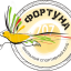 Школьный спортивный клуб